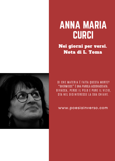 Anna Maria Curci – Nei giorni per versi. Nota di L. Toma