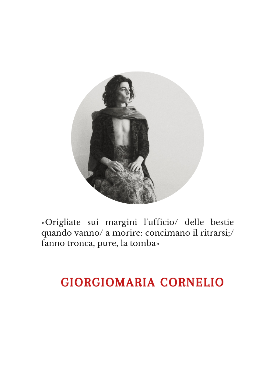 Giorgiomaria Cornelio | La consegna delle braci