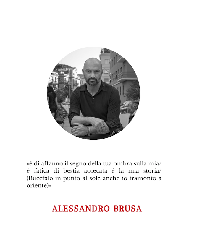 Alessandro Brusa | L’amore dei lupi