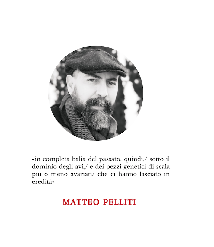 Matteo Pelliti | Somiglianze di famiglia￼