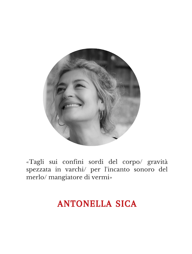 Antonella Sica | Poesie