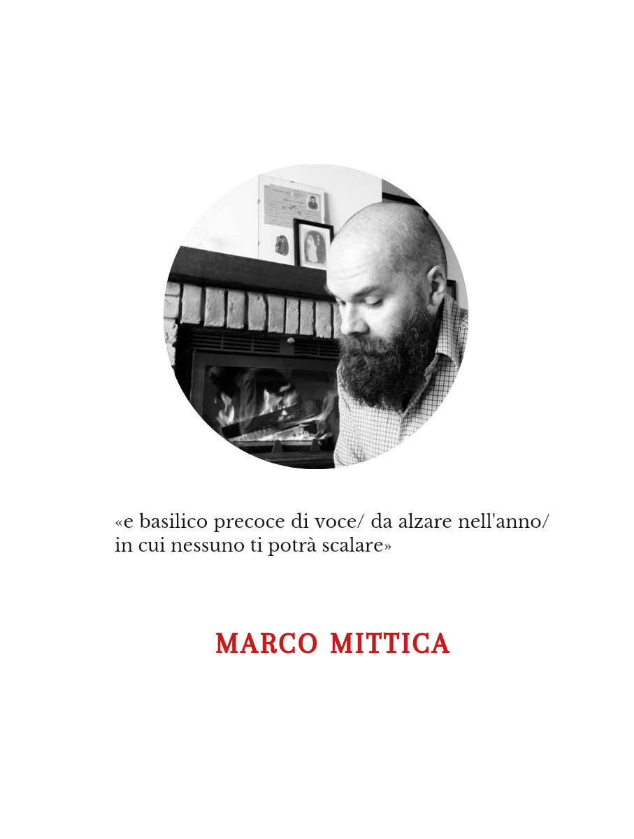 Marco Mittica | Poesie