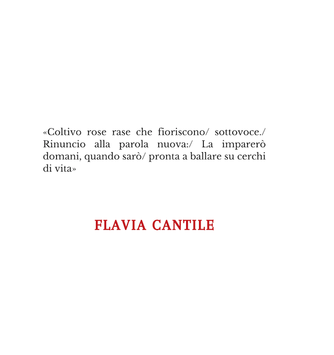 Flavia Cantile | Poesie