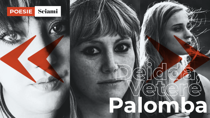 Deidda, Palomba, Vetere | Sciami #2