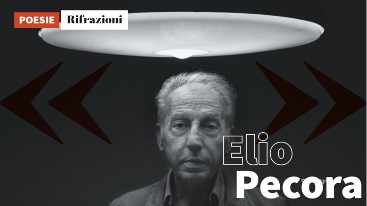 Elio Pecora | Rifrazioni