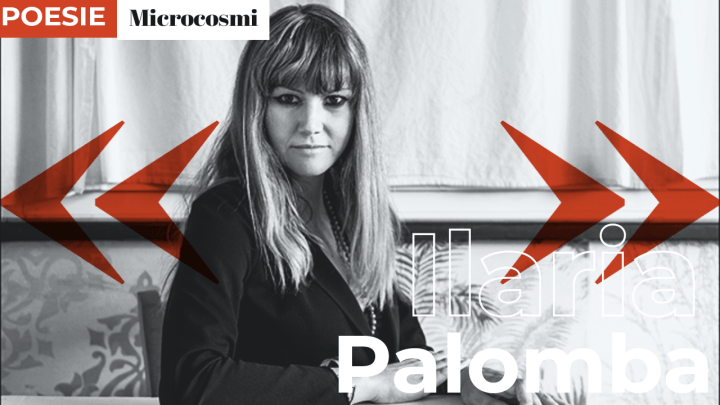 Ilaria Palomba | Microcosmi