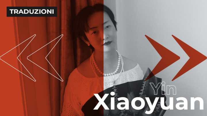 Yin Xiaoyuan | Atlante ornitologico (III, IV)