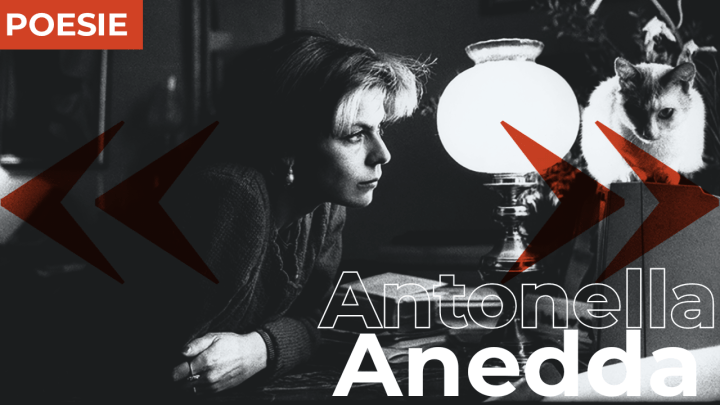 Antonella Anedda | Poesie scelte