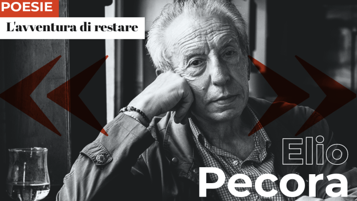 Elio Pecora | L’avventura di restare