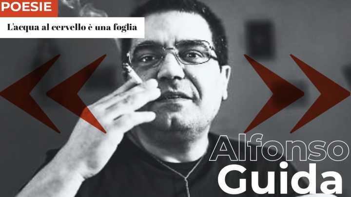 Alfonso Guida | L’acqua al cervello è una foglia