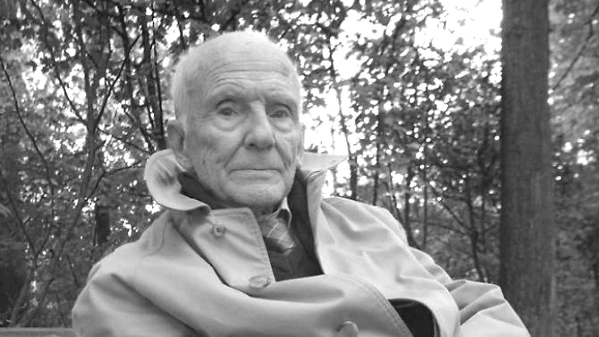 Pier Luigi Bacchini | Staminali eterne