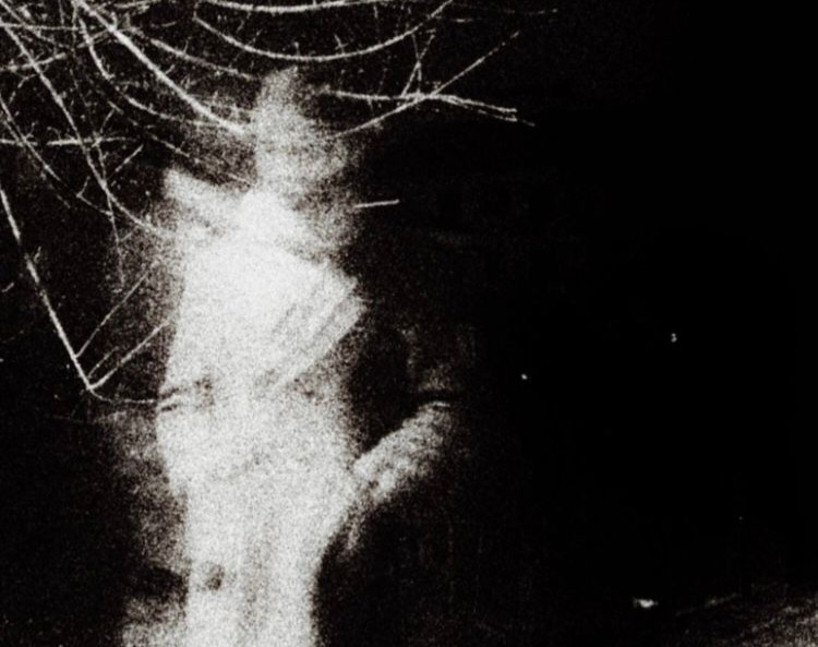 Francesco Fioretti | Grano