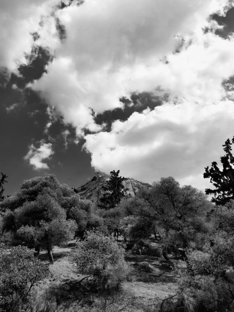 Camilla Marchisotti | Corpocollina